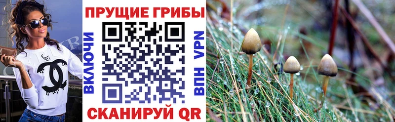Псилоцибиновые грибы MAGIC MUSHROOMS  Зея 